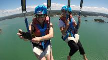 Flying Kiwi Parasail - 1300ft Flight - Paihia